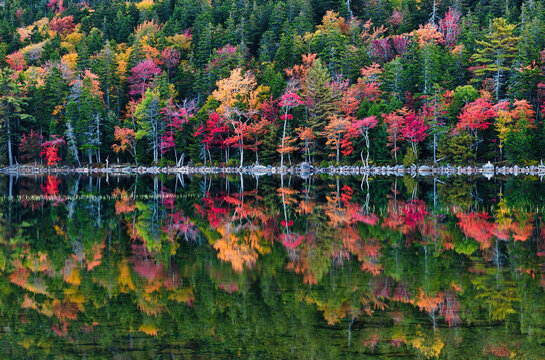 Fall Reflections, Acadia National Park, Maine