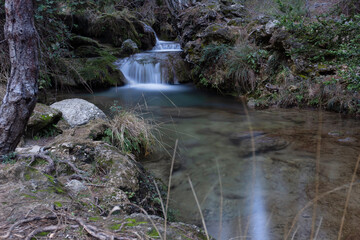 el arroyo en el bosque en otoño