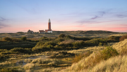 Dune landscape with a lighthouse on the Wadden Island of Texel, the Netherlands. - obrazy, fototapety, plakaty