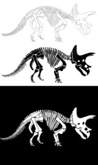 Set of Triceratops dinosaur graphic skeleton on white background, vector triceratops.