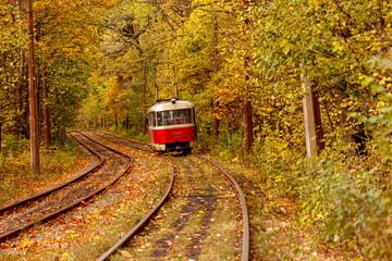 Autumn forest through which an old tram rides (Ukraine)