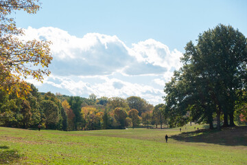 Fototapeta premium The Long Meadow, in Brooklyn's Prospect Park, in early Fall.