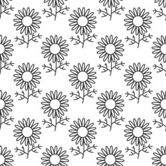 Camomile hand drawn seamless pattern. Camomile texture endless background. Plant vector icons.
