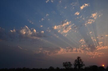 Beautiful sunset near Gweta, Botswana