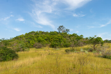 Savanna landscape in the caatinga biome - Oeiras, Piaui state, Brazil