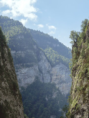 Steep cliffs overgrown with forest and moss. Mountain Valley. National Wildlife Refuge on a sunny summer day. Soft focus