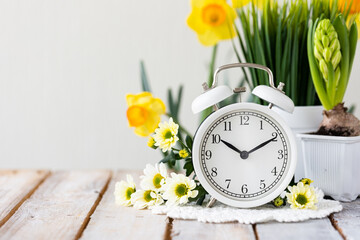 Spring change, Daylight Saving Time concept. White alarm clock and flowers on the wooden table....