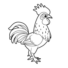 Cute cartoon big rooster outlined for coloring book on white background