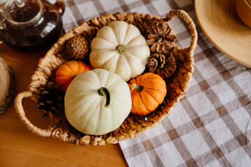 Obraz na płótnie Canvas basket with small decorative white and orange pumpkins and cones.