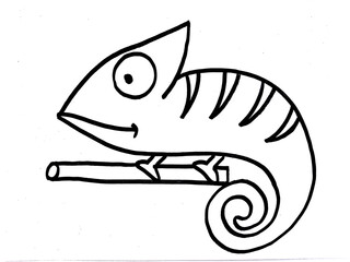 chameleon on a white background. illustration.  Vector. Children's drawing © Joanna