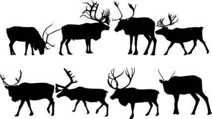 reindeer EPS, reindeer Silhouette, reindeer Vector, reindeer Cut File, reindeer Vector