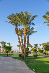 Fototapeta premium Hurghada, Egypt. .Swimming pool and accommodation at tropical resort. Buildings, swimming pools and a recreation area by the red sea.