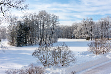 Winter in Catherine park, Tsarskoe Selo (Pushkin), Saint Petersburg, Russia