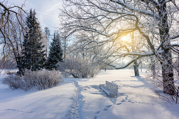 Catherine park in winter, Tsarskoe Selo (Pushkin), St. Petersburg, Russia