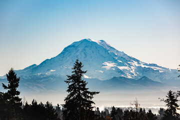 Tahoma (Mt Rainier) On A Clear Sunny Day With Fog In The Lowlands