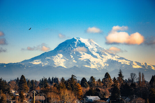 Tahoma (Mt Rainier) Over Tacoma