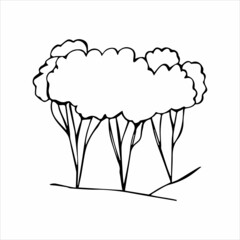 hand drawn doodle sketch tree