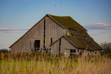Obraz premium Old barns 