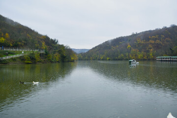 Fototapeta na wymiar Peaceful lake and forest view
