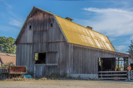 Old Barns 