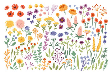 Big botanical set of doodle wild flowers, twigs, leaves, herbs and other elements. Hand drawn Vector Set. Colorful trendy illustration. All elements are isolated. Perfect For your own design - 485208553