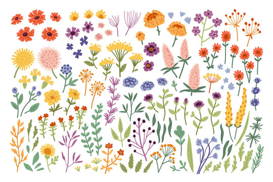 Big botanical set of doodle wild flowers, twigs, leaves, herbs and other elements. Hand drawn Vector Set. Colorful trendy illustration. All elements are isolated. Perfect For your own design