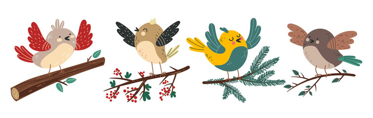 Birds characters sitting on branches isolated set. Vector flat graphic design illustration