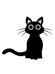 Süße schwarze Katze 