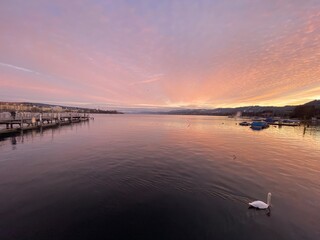 Fototapeta premium sundown on Lake Zurich with a panoramic view of the mountains