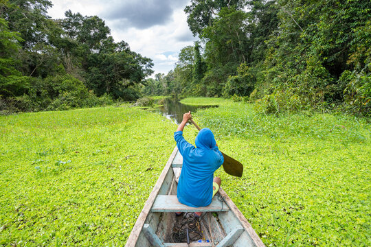 
Canoe trip on a river in the Amazon forest