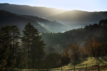 Vallée sauvage dans la brume du matin sous le soleil d'automne. Montagne aux forêts de sapins. Cévennes France.