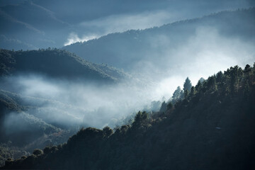 Vallée sauvage avec le brume matinale qui monte vers le sommet des montagnes boisées de la chaîne des Cévennes en France.