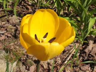 Full moon at night
Birds
Flover
