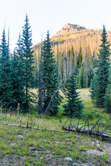 Colorado Weminuche Wilderness Scenery