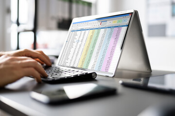 Spreadsheet Business Data Analyst