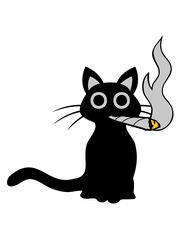 Kiffende schwarze Katze 