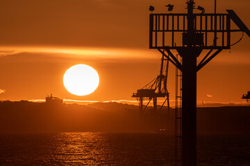 sunrise and container crane

