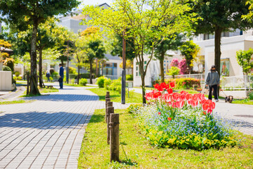 春の花が咲く住宅街　多摩ニュータウン