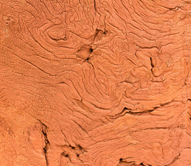background with wood texture
