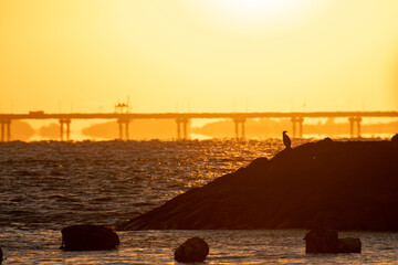Sunset view of the beach with a bridge
