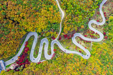 Autumn road photos taken by drone
