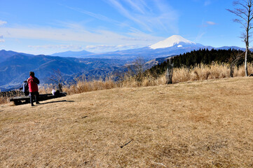 Fototapeta premium 丹沢山地の高松山山頂 広い頂から望む富士山 高松山の山頂はとても広く開放的な場所。南側及び西側に展望が広がり、箱根山方面やカヤト越しに富士山を望むことができる素晴らしい場所。 御殿場線の駅から登り始められることや、低山でハイキングに適したロケーションということもあり、四季を通じて多くの登山者が訪れる賑やかな場所。