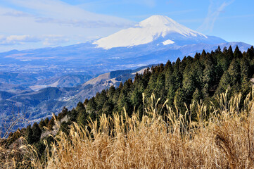 丹沢山地の高松山山頂から望む富士山
