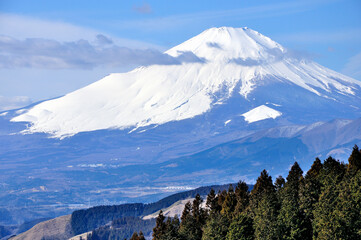 丹沢山地の高松山山頂から望む　雪化粧の富士山
