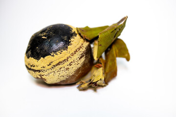  rotten and spoiled quince on white surface. It has become unfit for human consumption. Conceptual photo about young and old age, inner beauty, loneliness, lies, illness, decomposition. Dorian Grey