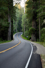 Redwood Highway