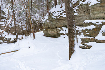 Upper Dells.