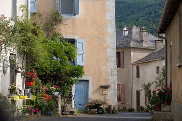 Fototapeta na wymiar Village fleuri et calme dans une vallée tranquille. Rue aux maisons anciennes avec de la vigne vierge. Montagne des Cévennes, France.