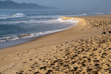 Incredible beach in the middle of nature, Atlantic forest. Praia do Moçambique, Rio Vermelho, Florianópolis, Santa Catarina, Brazil - drone view, top view