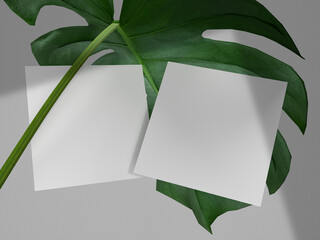Fototapeta na wymiar Card mockup with nature leaf and shadow. Mockup design template for presentation branding. 3d Rendering